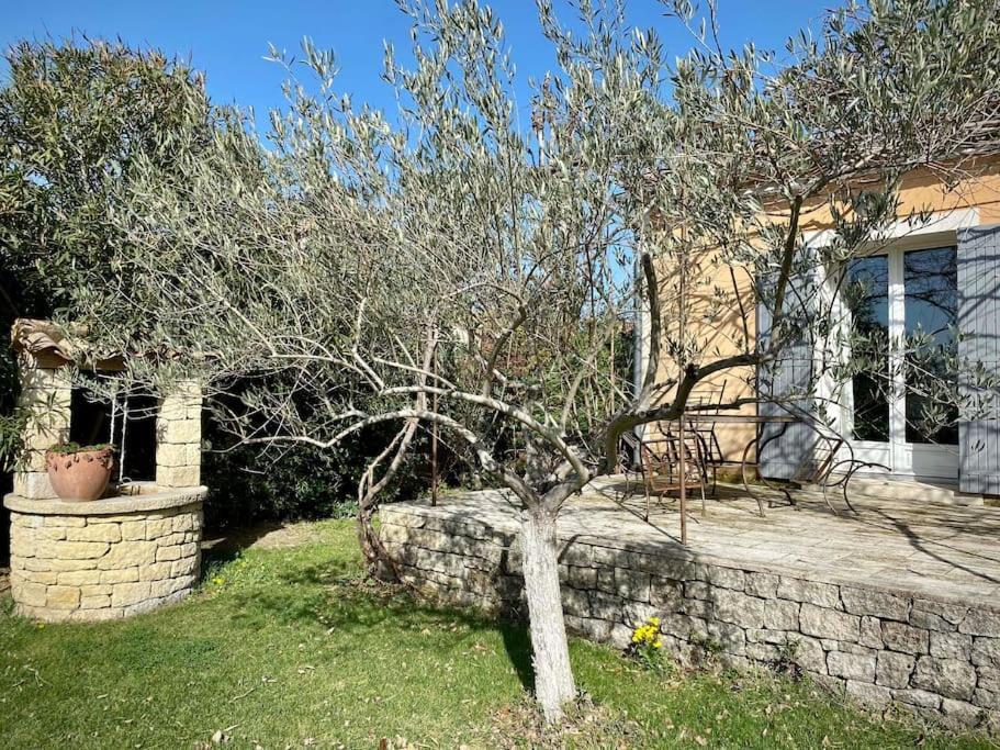 Belle Maison Provencale Au Pied Du Mont Ventoux Caromb Экстерьер фото