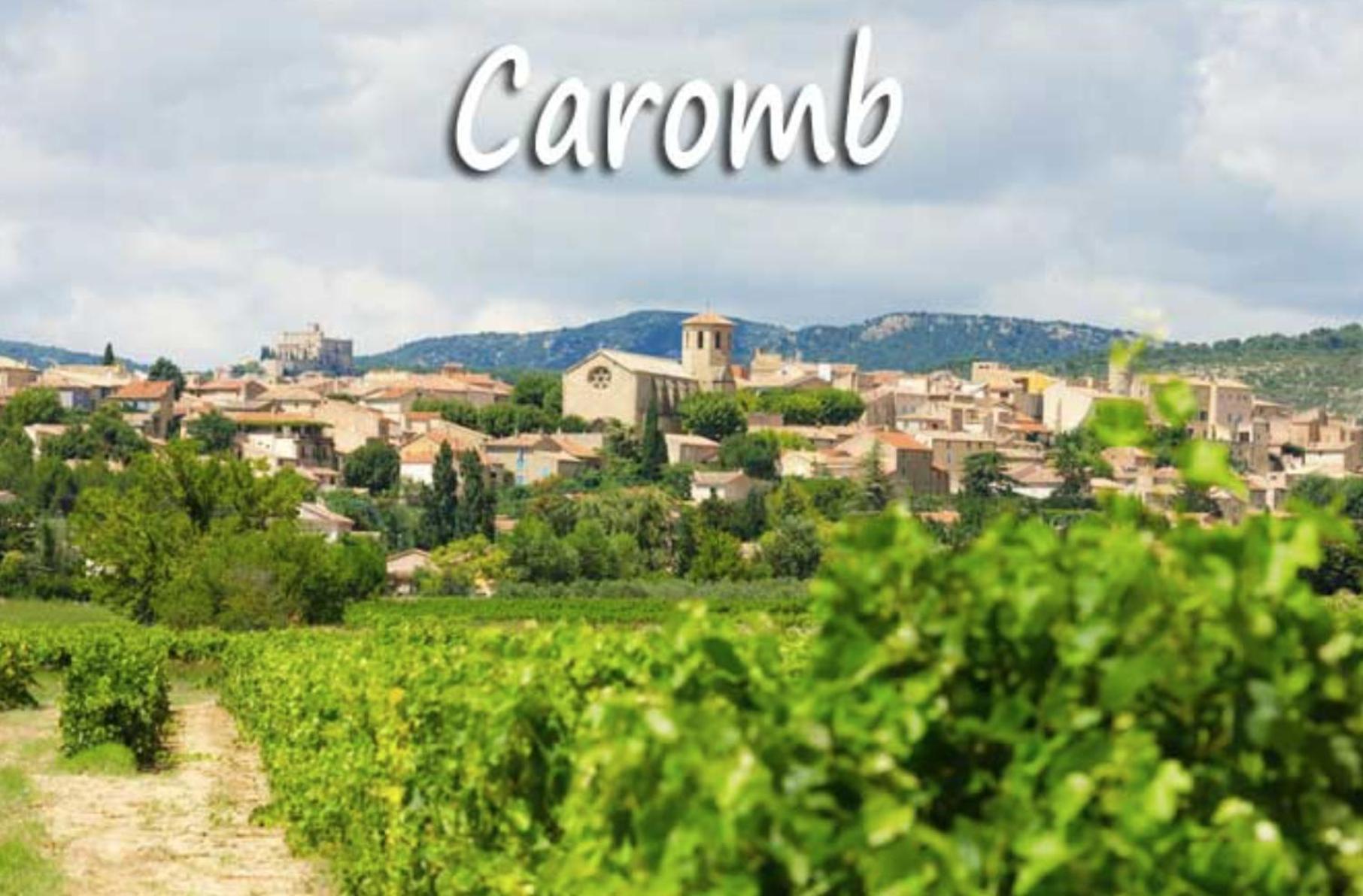 Belle Maison Provencale Au Pied Du Mont Ventoux Caromb Экстерьер фото